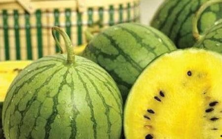 听瓜跟吃瓜有什么区别,网络语境下的娱乐信息消费差异解析