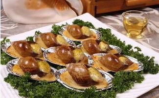 白玉蜗牛吃网纹瓜,白玉蜗牛的网纹瓜美食之旅