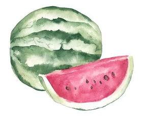 以吃瓜为己任,揭秘娱乐圈幕后真相