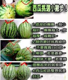 奶音吃瓜,揭秘娱乐圈幕后故事