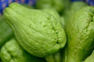 虎儿瓜炒着吃,家常风味尽享舌尖盛宴